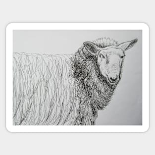 Who are Ewe looking at! Sticker